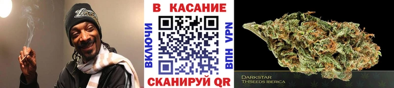 Где купить Кедровый гидра рабочий сайт Героин МЕФ ГАШИШ Конопля Амфетамин Кокаин