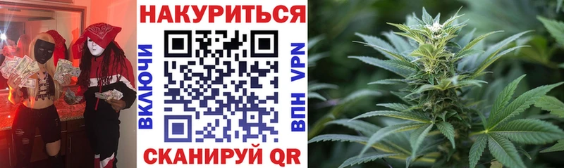 гидра онион Кедровый Бошки марихуана гибрид